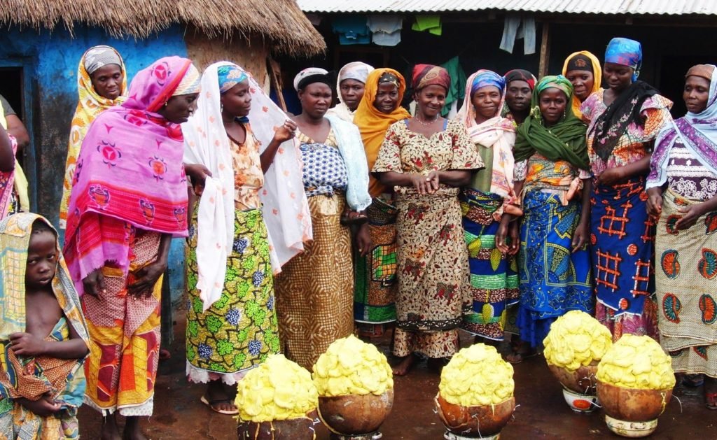 1,200 Women Trained in Ghana's Shea Industry Value Chain Cocoa Post