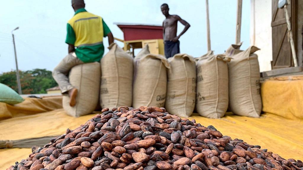 Ghana Cocoa Gets No Buyers on First Market Appearance Since 400
