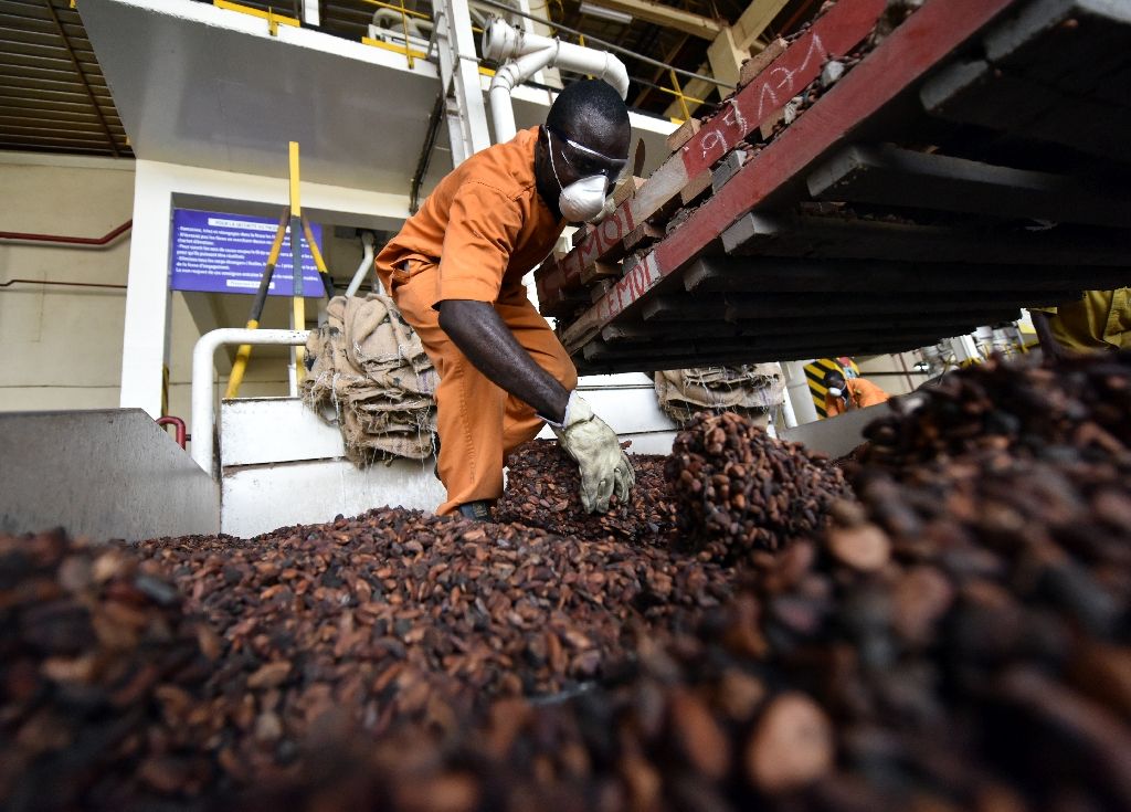 Report Highlights Need To Upgrade Ivory Coast Cocoa Sector Infrastructure Cocoa Post 8515