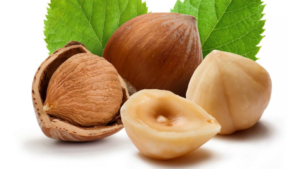 Chocolate Ingredients Everything You Need to Know About Hazelnuts