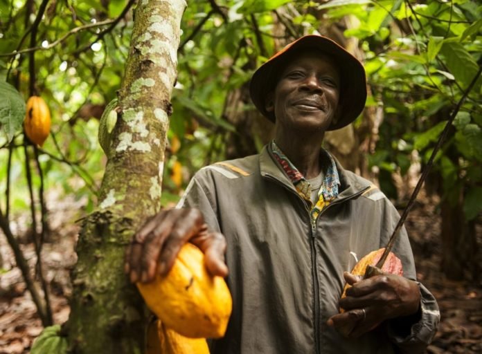 Ghana and Ivory Coast Cocoa Farmers Set to Receive LID Premium from