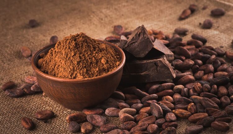 cocoa processing