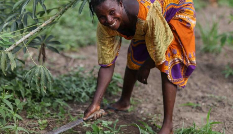 motorised slashers, cutlass,