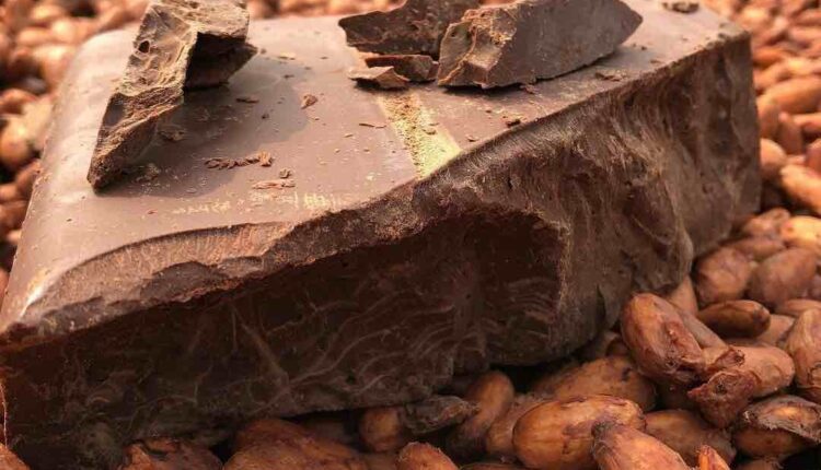 KKO International, cocoa, chocolate,