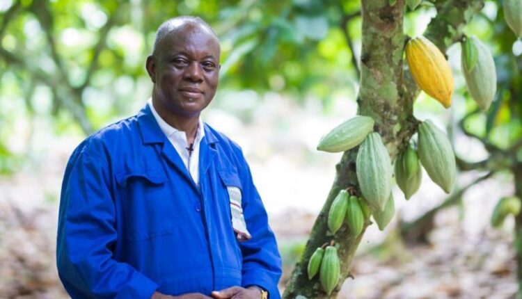 International Cocoa Awards, Samuel Tetteh Korboe, Cocoa Farmers COVID-19