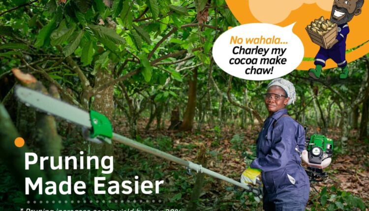 Motorized Pruners and Slashers, COCOBOD, Cocoa Post,