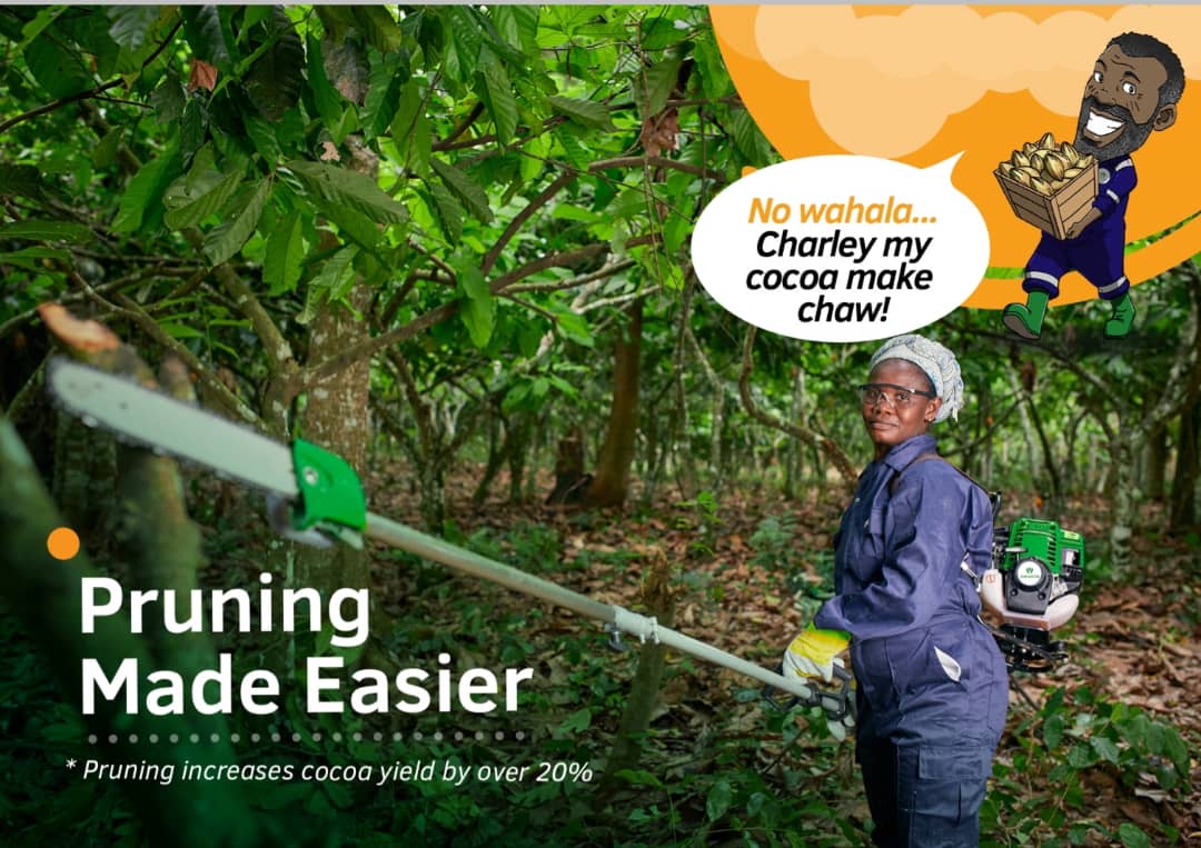 Motorized Pruners and Slashers, COCOBOD, Cocoa Post,