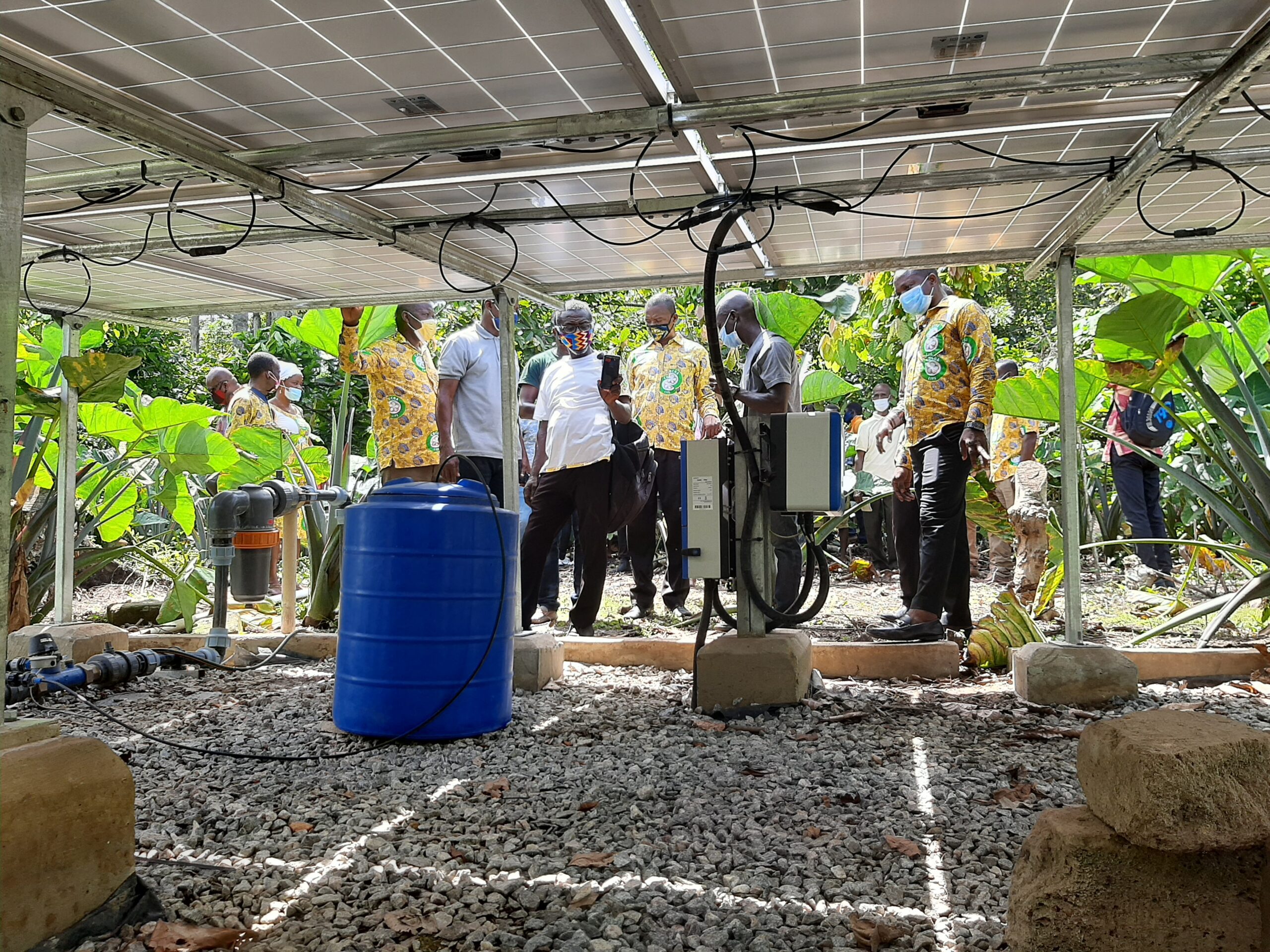 Cocoa farm irrigation, Ghana cocoa, drought, climate change,