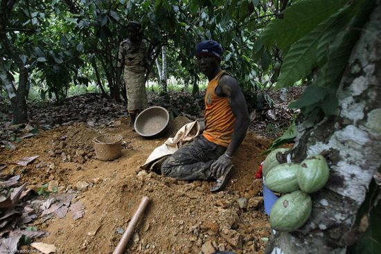 Illegal mining in Ghana, galamsey, cocoa,