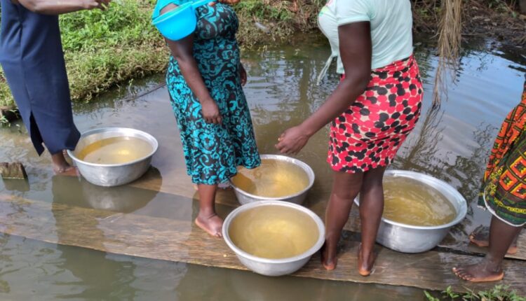 Basic amenities, cocoa news,