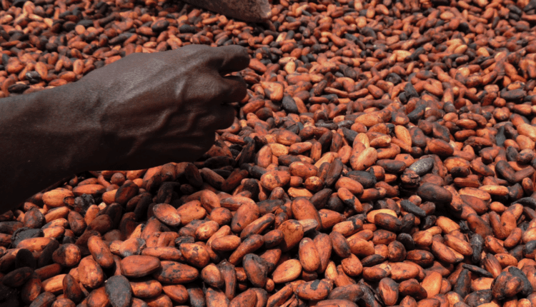 Cocoblock blockchain, EU,