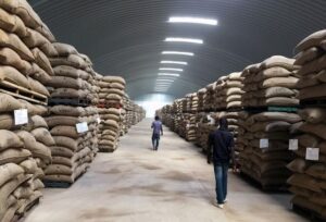 cocobod loan, cocoa warehouse