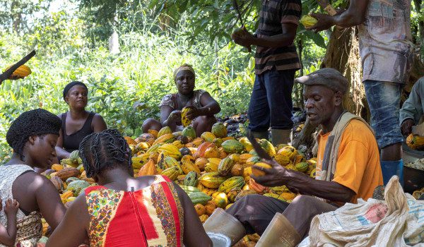 Fairtrade Africa, farmer incomes,