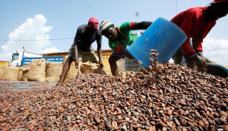 cocoa sector infrastructure, Ivory Coast,