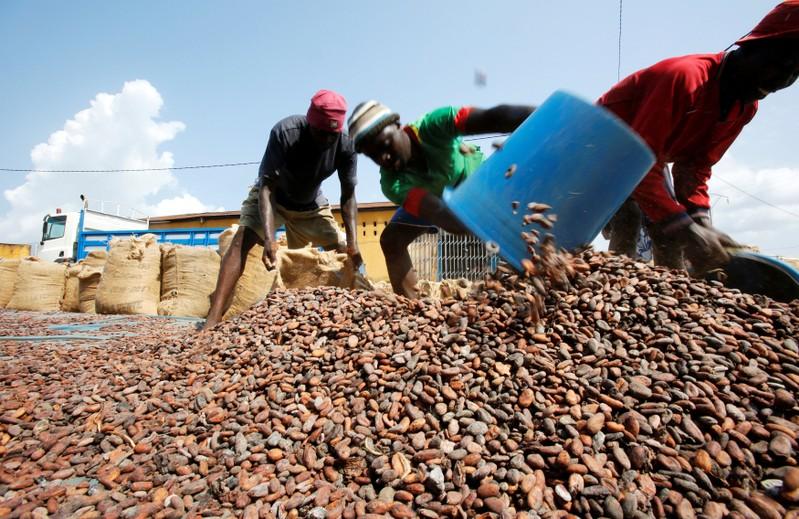 cocoa sector infrastructure, Ivory Coast,