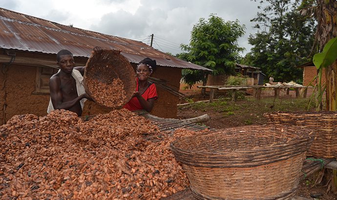 fairtrade farmers, cocoa poverty,