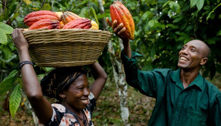 Financial inclusion, cocoa software, Cocoa Post