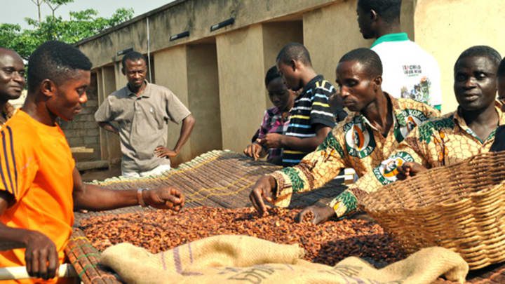 certification schemes, cocoa poverty,