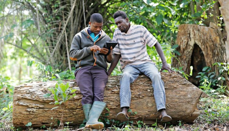 Rainforest Alliance, Cocoa certification, Cocoa Post, Nature based solutions,