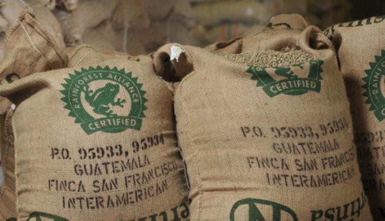 Rainforest Alliance, Cocoa certification, Cocoa Post