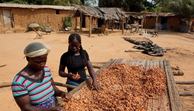 Welfare fund, cocobod, cocoa news, farmers