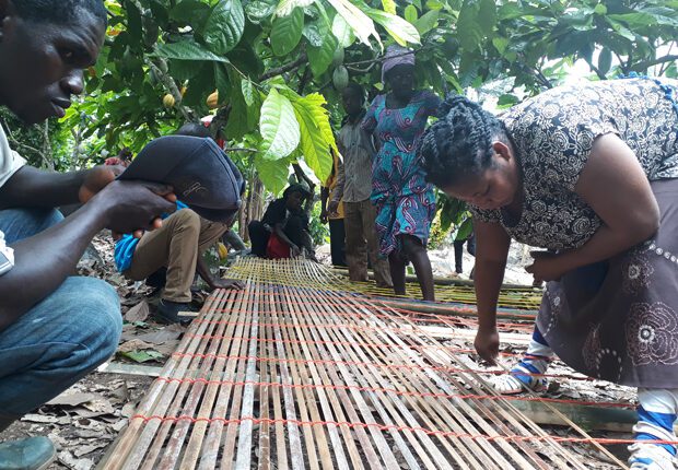 cocoa advocacy, cocoa news,