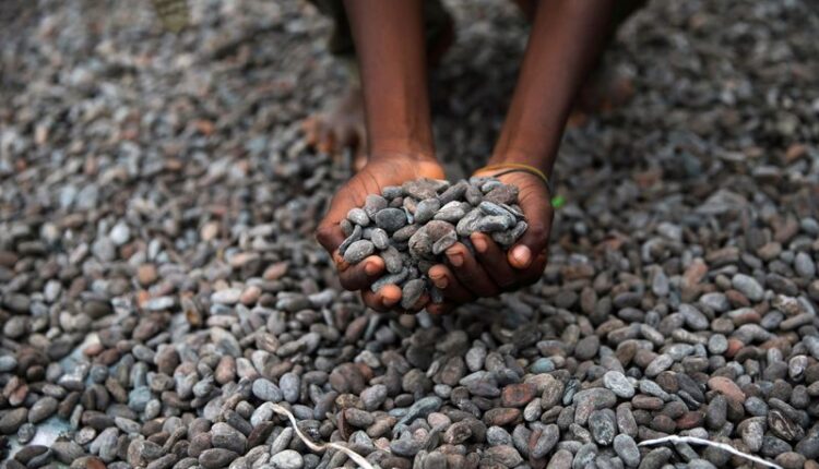 Nigerian cocoa, cocoa news, Cocoa Post, Cocoa prices, ICCO, International Cocoa Organization,