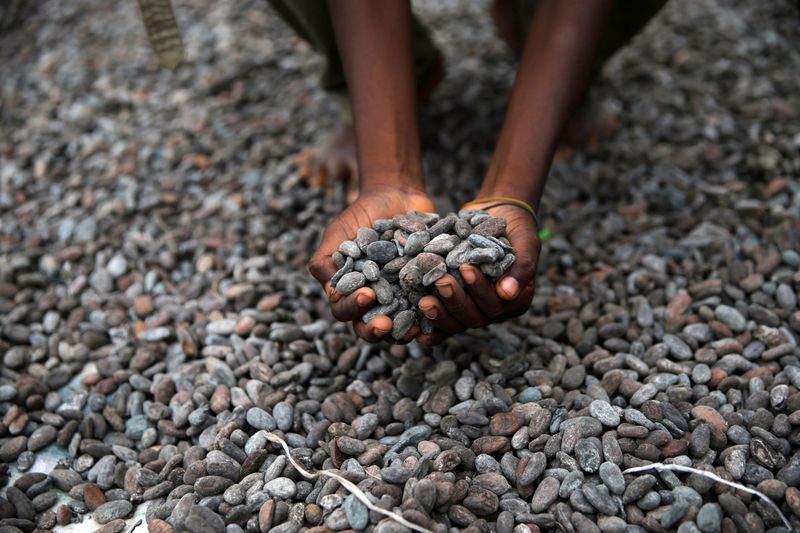 Nigerian cocoa, cocoa news, Cocoa Post, Cocoa prices, ICCO, International Cocoa Organization,