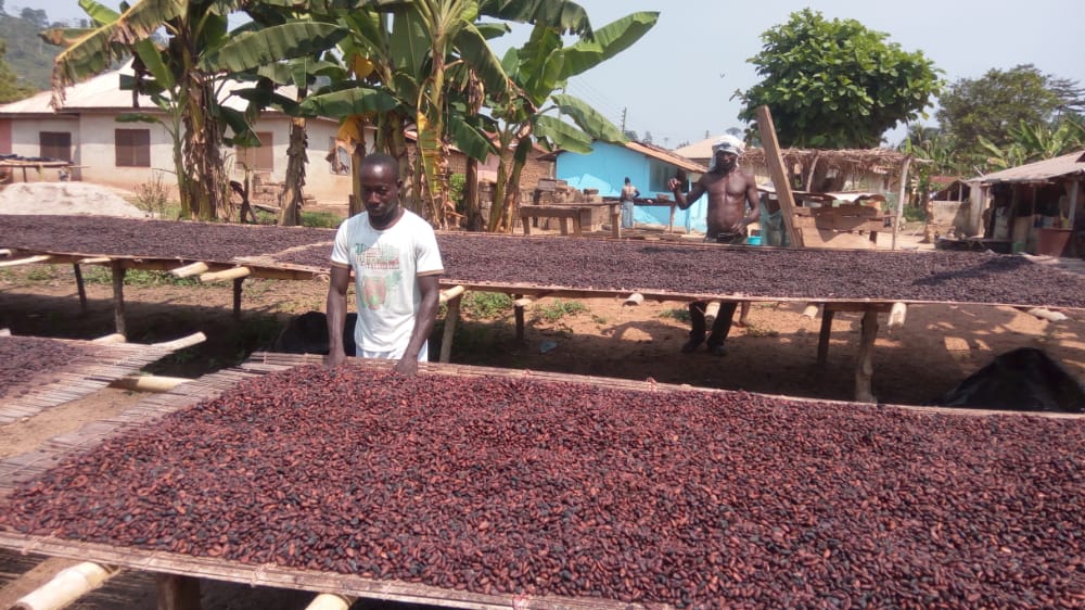 Cocoa news, farmers, basic amenities,