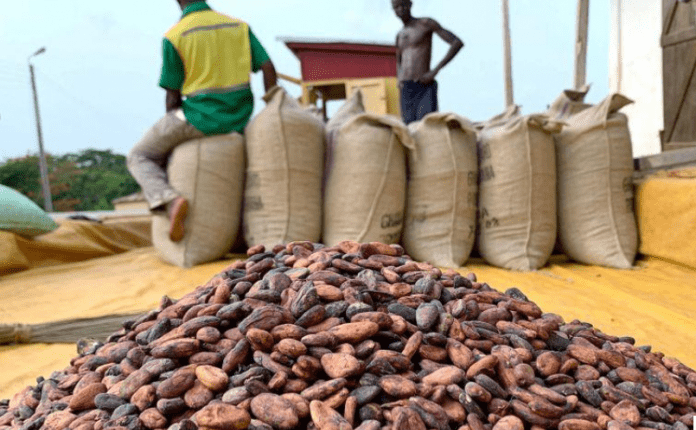 Cocoa Output, cocoa price, farmgate price, cocobod debt