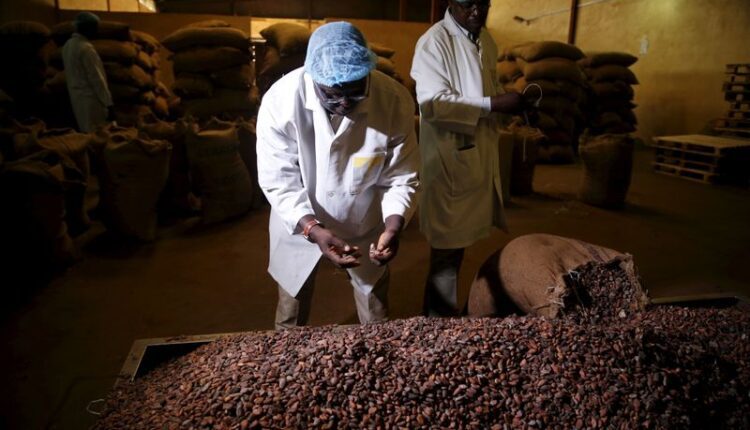 cocoa surplus, Cocoa news, cocoa post, icco,