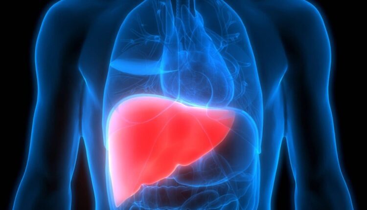 Liver disease, cocoa powder, cocoa news,