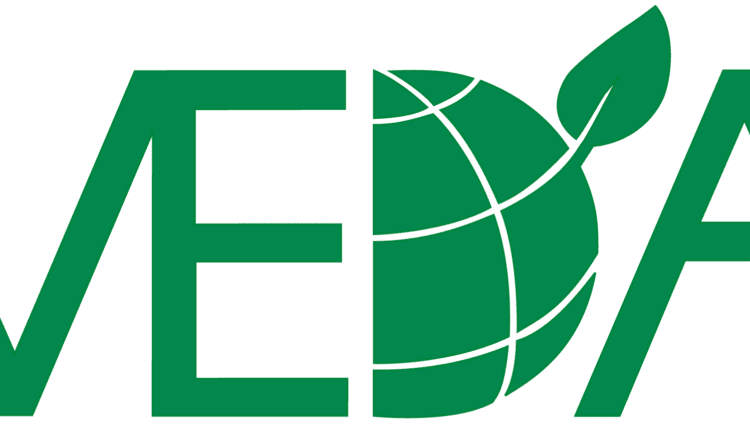 MEDA Ghana, Seedlings, Cocoa news,