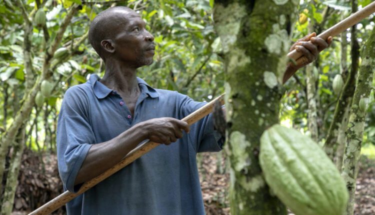 Living Income, LID, Ghana, Ivory Coast, Kojo Hayford,