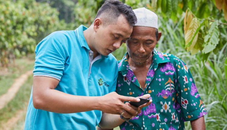 Olam cocoa traceability, sustainability,