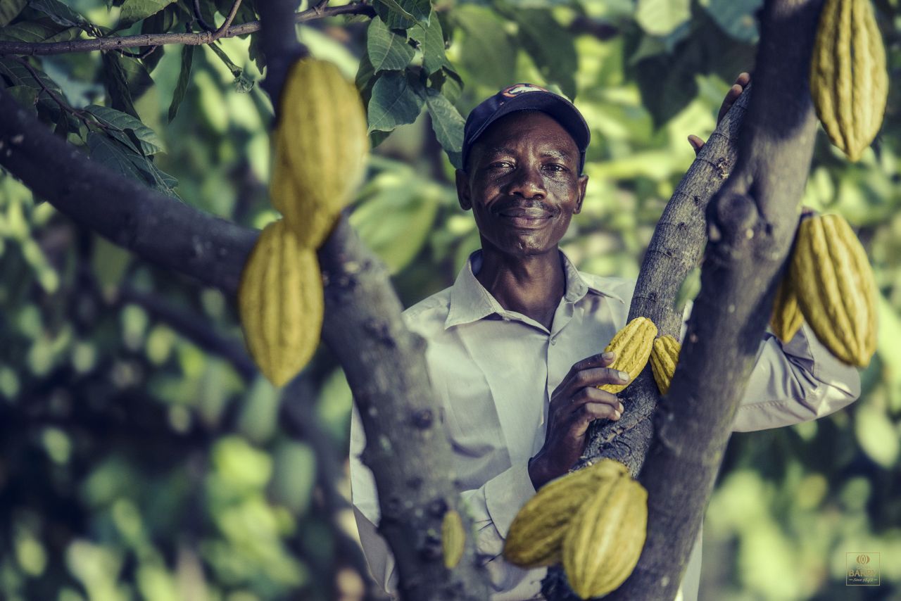 World Cocoa Farmers Organization, WCFO, Cocoa farmers pension scheme, Ghana