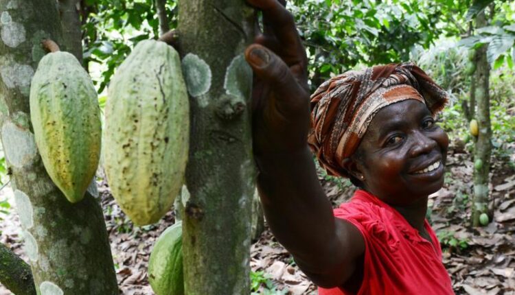 G-Money, Eliho Ghana Partner To Digitise Cocoa Payments