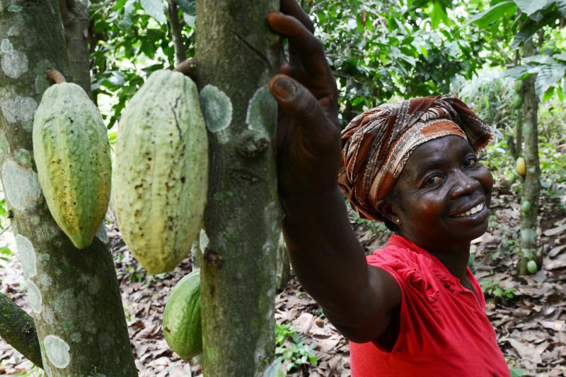 g-money, digital payment, cocoa farmers,