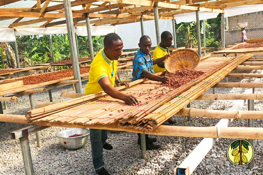 Cocoa Fermentation Centre, Transroyal Ghana Ltd, Ghana