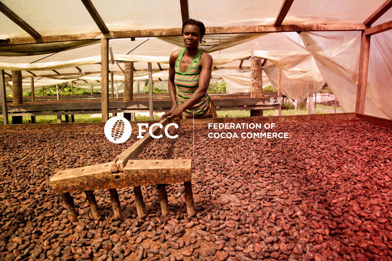 Federation of Cocoa Commerce, FCC, Ghana, Ivory Coast, Hershey, LID, Living Income Differential,