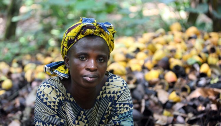 Cocoa Barometer, Cocoa poverty, women, children, system change, VOICE Network,