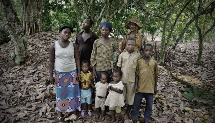 How Does Poverty Taste, Cocoa, Chocolate,