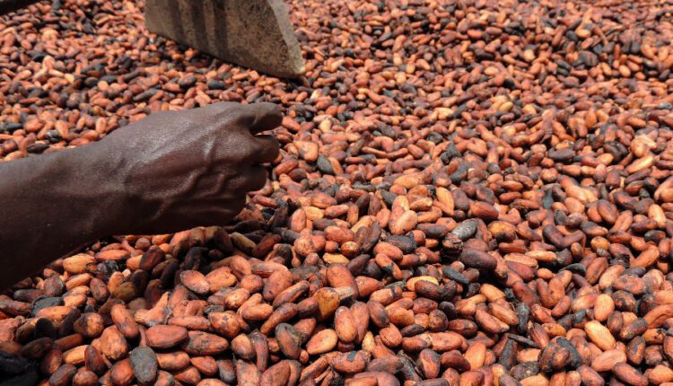 certification schemes, Certified foods, cocoa, chocolate,