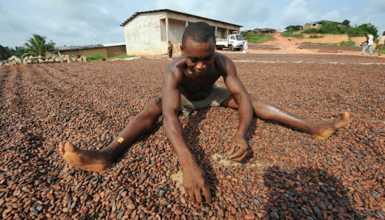 GIZ, Touton, jobs cocoa, Ivory Coast Cocoa Price, Ghana,