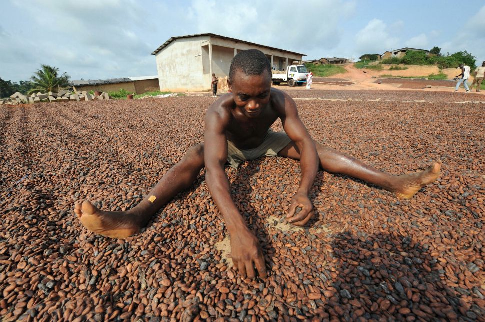 GIZ, Touton, jobs cocoa, Ivory Coast Cocoa Price, Ghana,