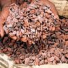 EU Law, Cocoa,