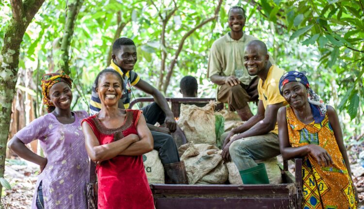 Cocoa Life premium, Mondelez International, sustainability, Ghana, Cocoa,