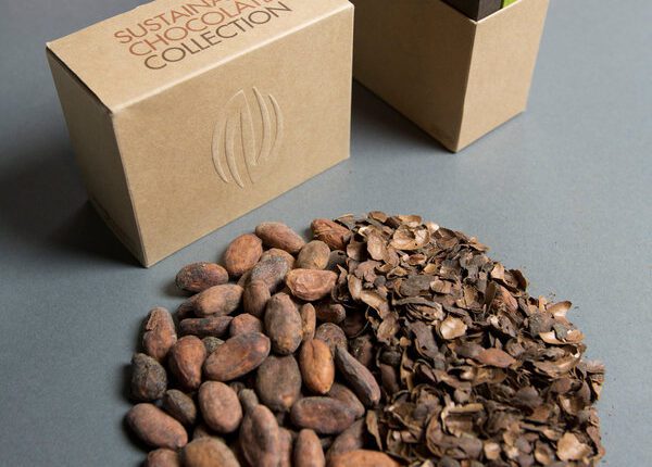 Cocoa Paper - British Innovation Turns Cocoa Waste To Paper