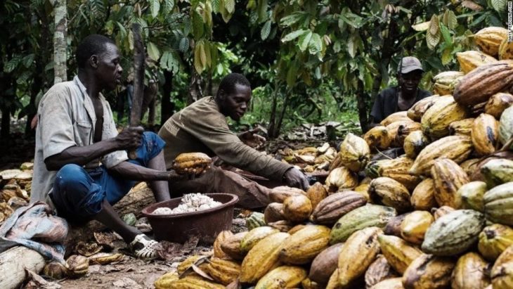 Nigerian cocoa farmers, China cocoa, corporate social responsibility, Chocolate Scorecard, Original Beans, Beyond Good, Ritter Sport, Tony's Chocolonely, Chocolate Makers, Lidl & Plaids, Krueger Tesco,