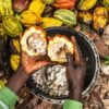 Cocoa Abrabopa, child labour, Mars Wrigley, ASCOT, International Cocoa Initiative,
